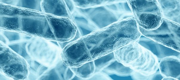Probiotics in Clinical practice