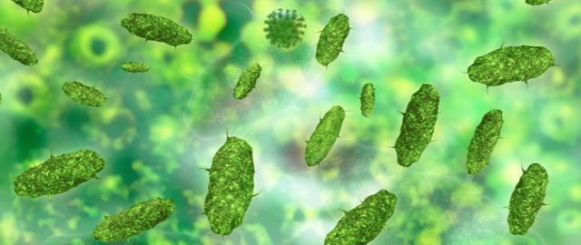 Dr Rangan Chatterjee - A talk on 'Good Gut Health'