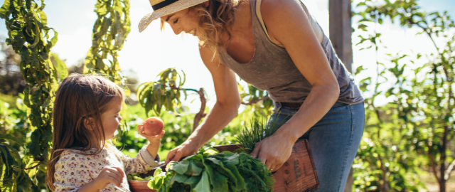 Mother and daughter in allotment picking fruit and veg in the summer.