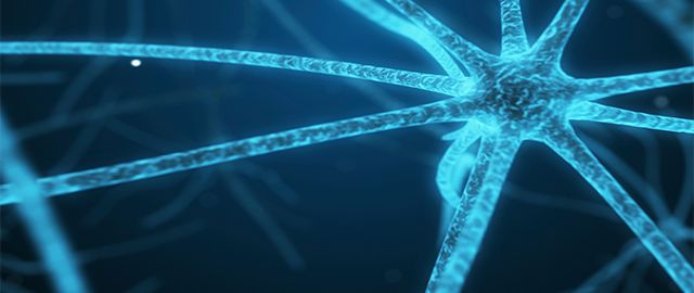 Could Alzheimer’s disease be 'Type 3 Diabetes'?