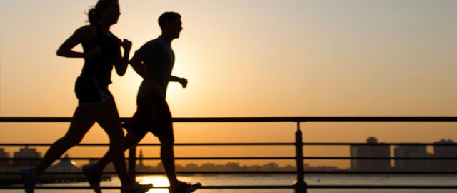 An Introduction to Joint Health