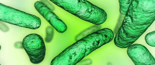 Antibiotics probiotics diarrhoea