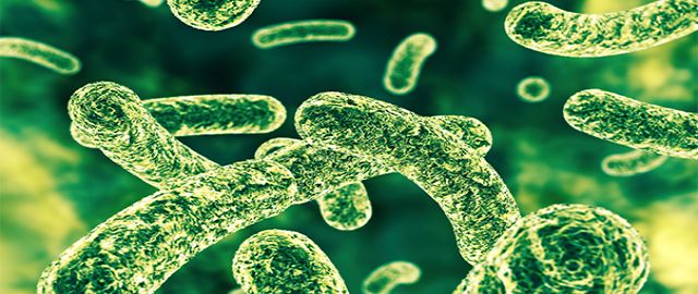 The Microbial Translocation of Lipopolysaccharide - A Key Mediator of Disease