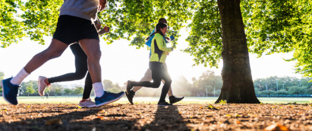 Bone density - diagnosis, nutrients and lifestyle factors