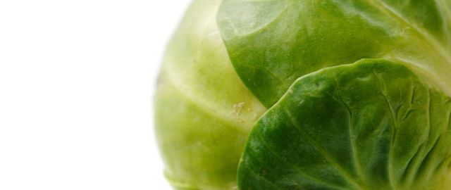 Brussel sprouts and folate folic acid preconception