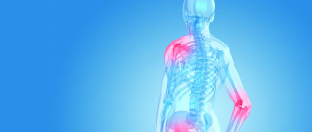 Celadrin Joint Support