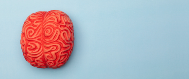 Lifestyle interventions to support brain health