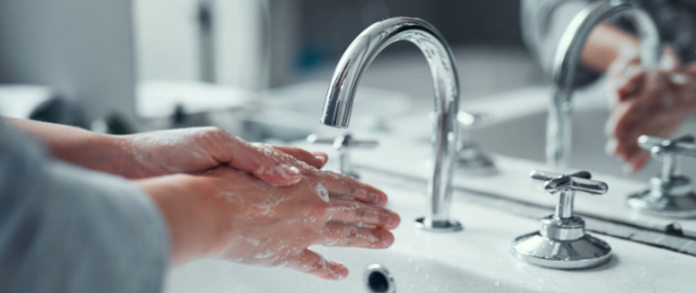 immune system support