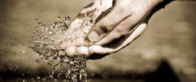 Detoxification & The Paleo Diet