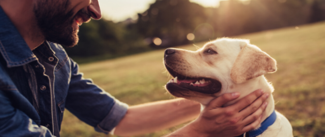 In the news - health and nutrition research