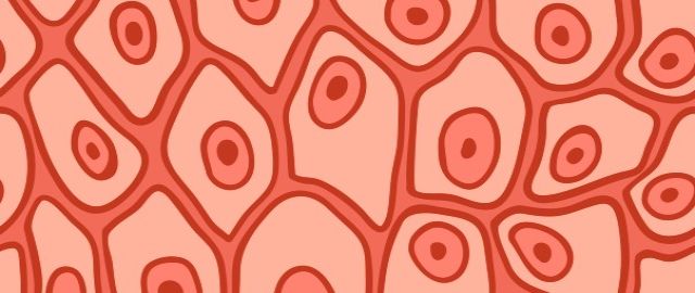 Eczema - Looking Beyond the Skin