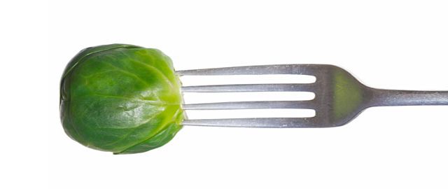 Folate Supplements and NTD Neural Tube Defects