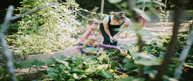 Nutrient requirements through the ages