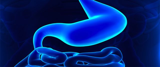 Nutritional support for Irritable Bowel Syndrome