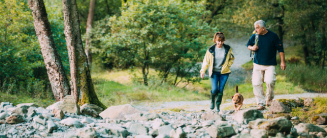 In the news - health & nutrition research