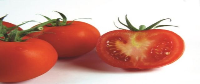 Lycopene and Prostate Cancer