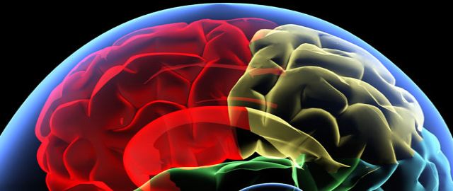 Neurological Illness and Vitamin B