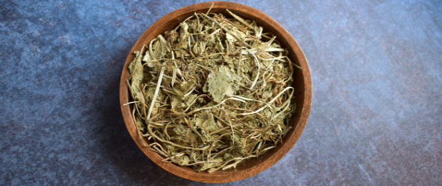 Overhead view of a wooden bowl of dried Bacopa Monnieri, a nootropic thought to help memory, on a blue background.