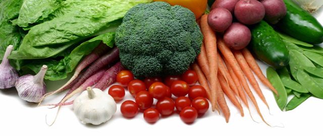 Children’s Nutrition and School Meals