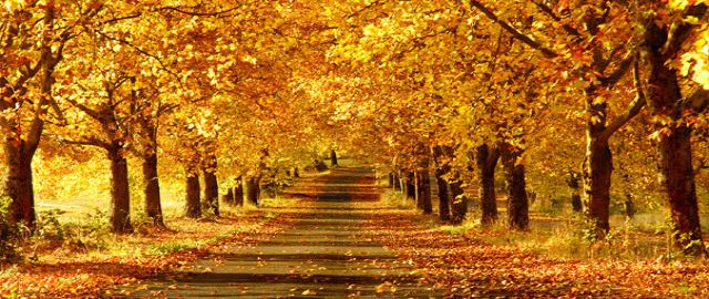 Paleo Pioneer S. Boyd Eaton’s Personal Lifestyle