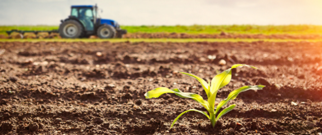 Selenium and its importance to human health