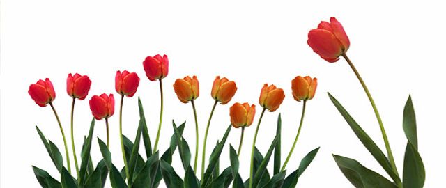 The Menopause – Time To Put Ourselves First