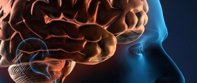 Vitamins for the Brain?