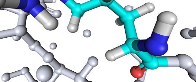 We are what we eat? We are also what our mother ate at the time of conception