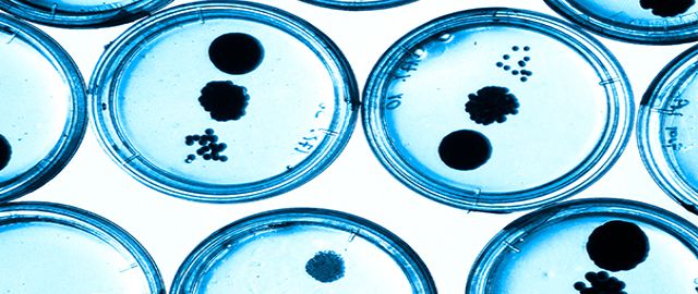 In the News - Health and Nutrition Research