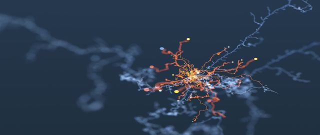 Delaying and slowing cognitive decline