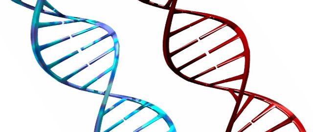 Nutrigenomics: Where nutrition meets genetics