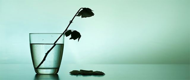 Is Depression an Inflammatory Disease?