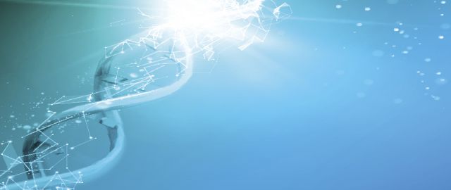 Omega-3 and omega-6 levels - How to personalise essential fatty acid intake