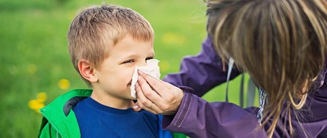 Is it a Summer Cold or Hay Fever?