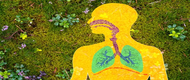 Asthma – risk factors & nutritional support