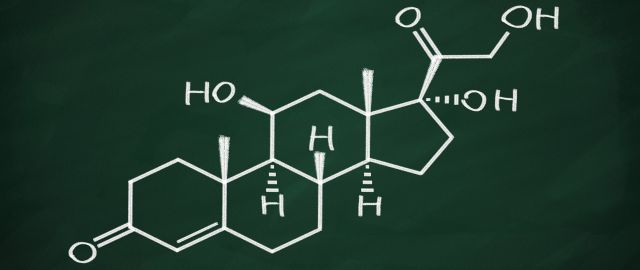 How stress rewires the brain