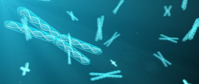 Caloric restriction and nicotinamide riboside
