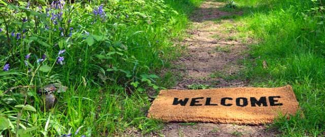 New permitted claims