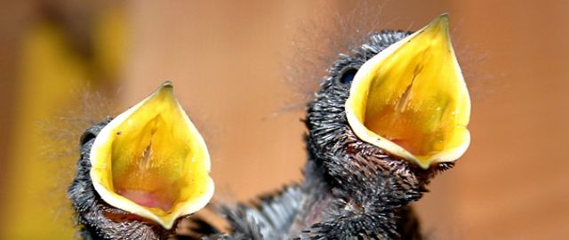 In the News - Health and Nutrition Research