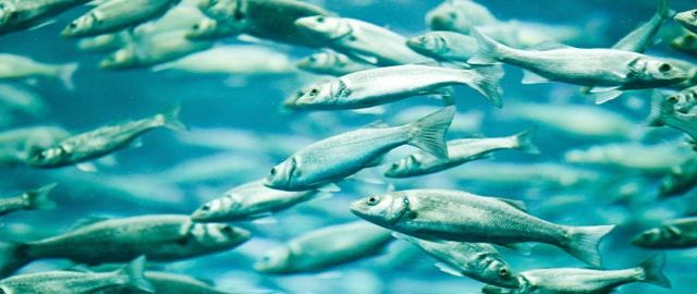 Health & Nutrition in the News