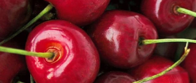 polyphenol foods and supplementation