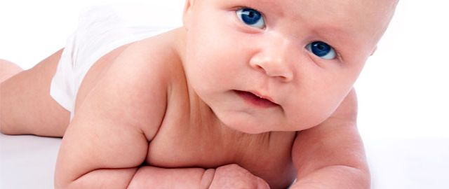 preconception and nutrition