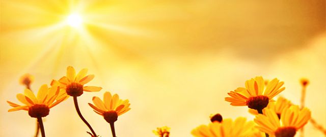 The Health Benefits of Vitamin D