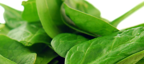 Methylfolate supplement