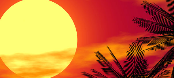 Vitamin and Mineral Loss in Hot Weather and when Exercising
