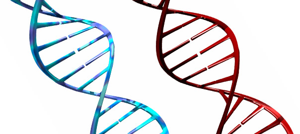 Nutrigenomics: Where nutrition meets genetics