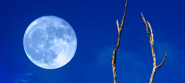 Full Moon, Insomnia and Magnesium!