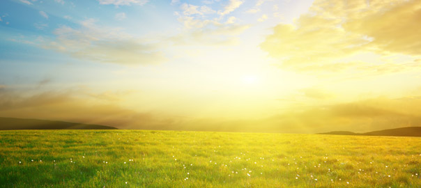 Vitamin D and Sun