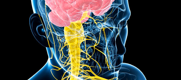 Alzheimers-Dementia-Nutritional-Research