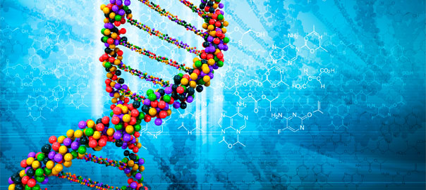 Epigenetics